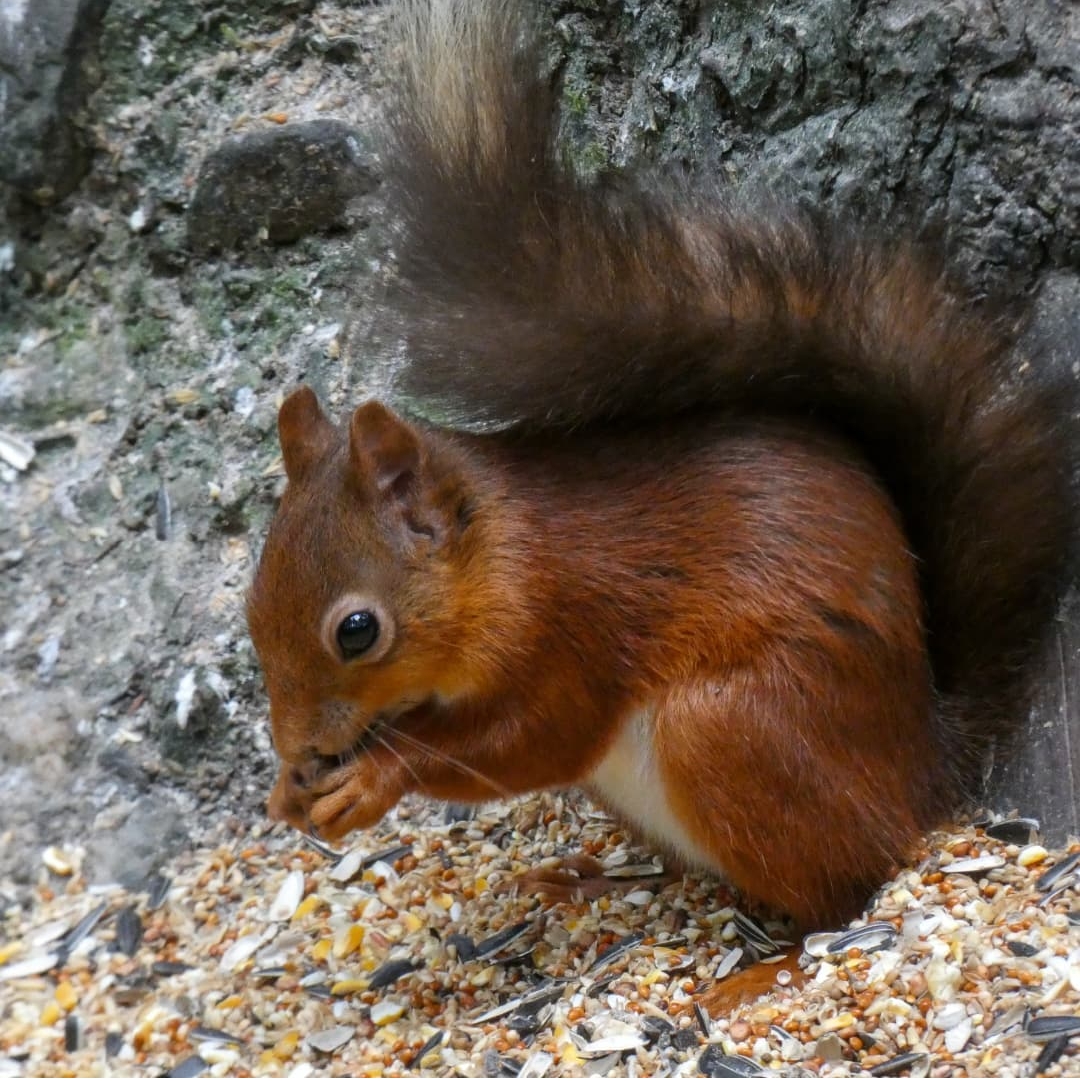 Screenshot_2022-03-23-14-25-02-45_1c337646f29875672b5a61192b9010f9